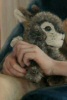 �Detail