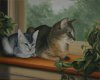 �Detail